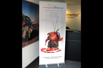 Economy retractable banner stand