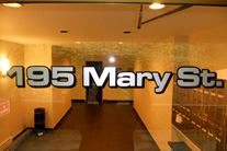 Contout cut vinyl,  window graphics