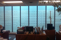 Frosted vinyl,  window graphics