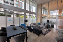 Frosted vinyl window graphics